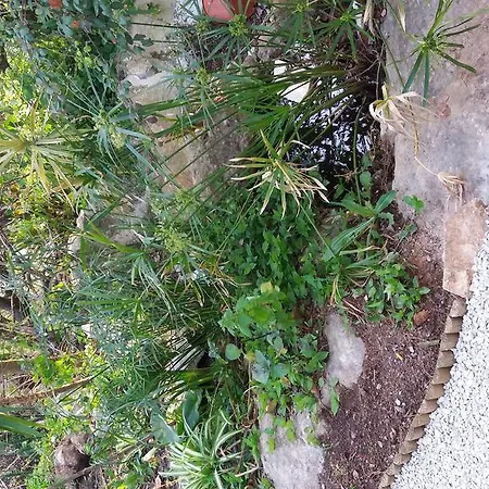 Quinta De Sao Filipe Setúbal
