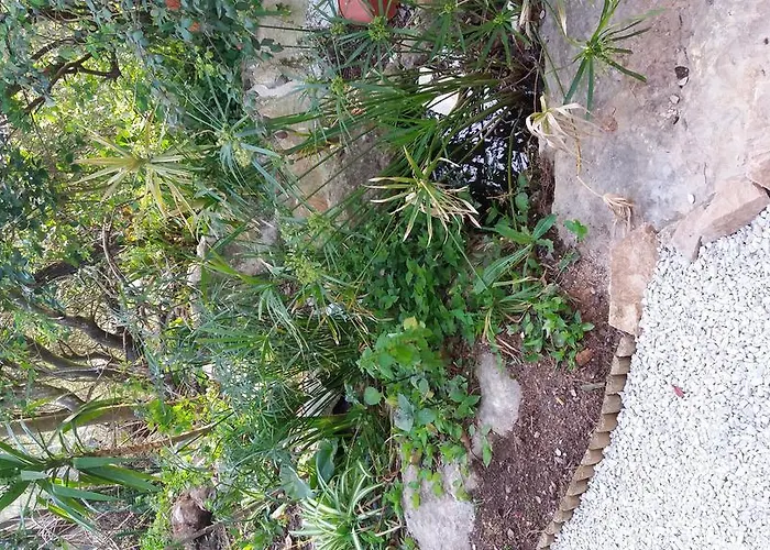 Quinta De Sao Filipe Setúbal